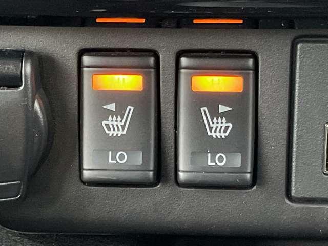 リーフ Ｘ　Ｖセレクション　メ－カ－純正ナビＴＶ　プロパロット　寒冷地仕様　レーダークルコン　３６０°カメラ　踏み間違い防止装置　セキュリティ　ドライブレコーダー　禁煙　１オーナー　ＥＴＣ　インテリキー　レーンキープアシスト　サイドエアバッグ　パワーウィンドウ　ＡＢＳ　ＡＷ（11枚目）