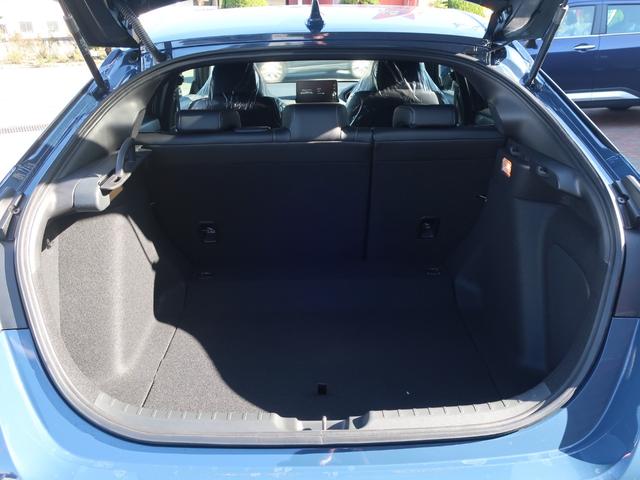 シビック ＥＸ　新車未登録　ディーラーオプション装着車（ドアミラーカバー　フロントバンパーガーニッシュ　テールゲートスポイラー）９インチホンダコネクトディスプレー　運転席助手席パワーシート　ＢＯＳＥサウンドシステム（14枚目）
