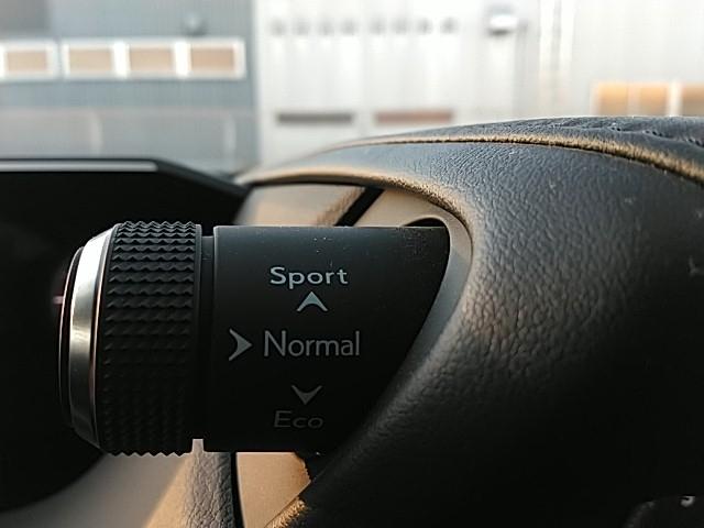 ＥＳ ＥＳ３００ｈ　バージョンＬ　ワンオーナー　サンルーフ　革シート　キーレス　フルセグ　ナビ＆ＴＶ　１８アルミホイール　エアバッグ　オートマ　フル装備　ＥＴＣ　バックカメラ　スマートキー（23枚目）