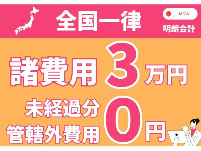 Ａ　ＯＢＤ診断済／４本新品タイヤ／１７インチアルミ／社外メッキ加飾モール／パーキングアシスト／ブラインドスポットモニター／インテリジェントクリアランスソナー／リモートエアコンシステム／Ｂｌｕｅｔｏｏｔｈ(43枚目)