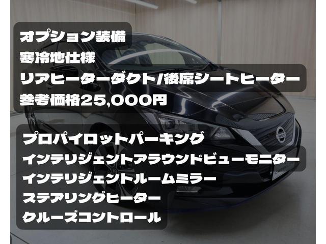 ｅ＋　Ｇ　法定点検整備済／寒冷地仕様／後席シートヒーター／リアヒーターダクト／プロパイロットパーキング／インテリジェントアラウンドビューモニター／インテリジェントルームミラー／グレー革シート／ＢＯＳＥサウンド(6枚目)