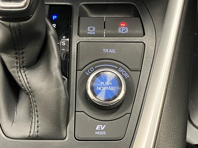 RAV4 ハイブリッドG OBD診断済/法定点検整備済/モデリスタエアロキット/純正オプションナビ/地デジ/Bluetoothオーディオ/パワーバックドア/ブラインドスポットモニター/快適温熱シート/ポジションメモリー(36枚目)