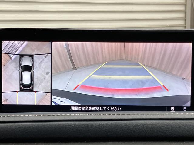 CX-30 20S プロアクティブ ツーリングセレクション OBD診断済/法定点検整備済/360度セーフティパッケージ/360度ビューモニター/ドライバーモニタリング/BOSEサウンドシステム/クルージングトラフィックサポート/パワーバックドア/ワンオーナー(9枚目)