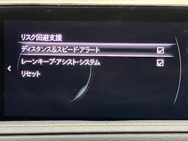 CX-30 20S プロアクティブ ツーリングセレクション OBD診断済/法定点検整備済/360度セーフティパッケージ/360度ビューモニター/ドライバーモニタリング/BOSEサウンドシステム/クルージングトラフィックサポート/パワーバックドア/ワンオーナー(19枚目)