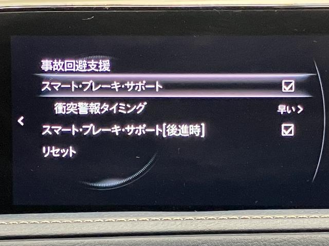 CX-30 20S プロアクティブ ツーリングセレクション OBD診断済/法定点検整備済/360度セーフティパッケージ/360度ビューモニター/ドライバーモニタリング/BOSEサウンドシステム/クルージングトラフィックサポート/パワーバックドア/ワンオーナー(20枚目)