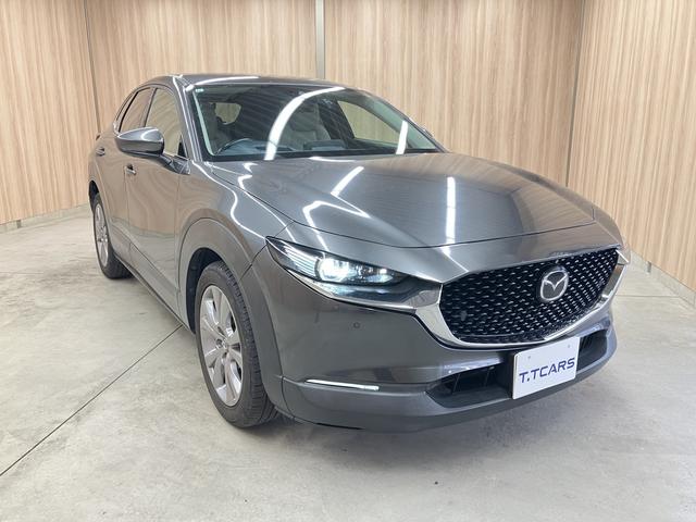 CX-30 20S プロアクティブ ツーリングセレクション OBD診断済/法定点検整備済/360度セーフティパッケージ/360度ビューモニター/ドライバーモニタリング/BOSEサウンドシステム/クルージングトラフィックサポート/パワーバックドア/ワンオーナー(60枚目)