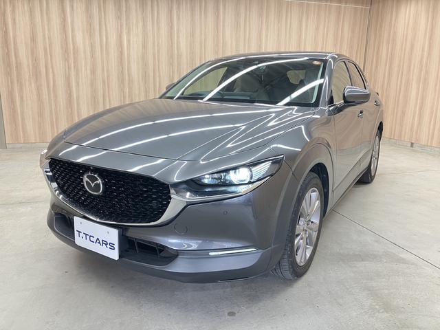 CX-30 20S プロアクティブ ツーリングセレクション OBD診断済/法定点検整備済/360度セーフティパッケージ/360度ビューモニター/ドライバーモニタリング/BOSEサウンドシステム/クルージングトラフィックサポート/パワーバックドア/ワンオーナー(61枚目)