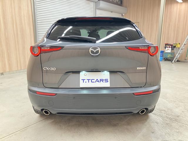 CX-30 20S プロアクティブ ツーリングセレクション OBD診断済/法定点検整備済/360度セーフティパッケージ/360度ビューモニター/ドライバーモニタリング/BOSEサウンドシステム/クルージングトラフィックサポート/パワーバックドア/ワンオーナー(62枚目)