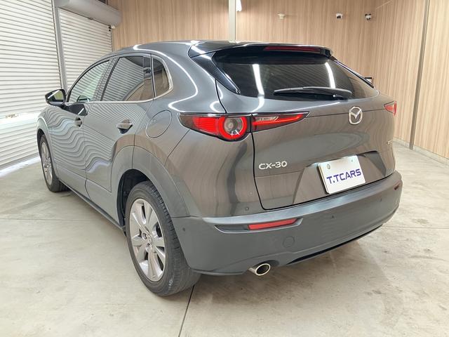 CX-30 20S プロアクティブ ツーリングセレクション OBD診断済/法定点検整備済/360度セーフティパッケージ/360度ビューモニター/ドライバーモニタリング/BOSEサウンドシステム/クルージングトラフィックサポート/パワーバックドア/ワンオーナー(63枚目)