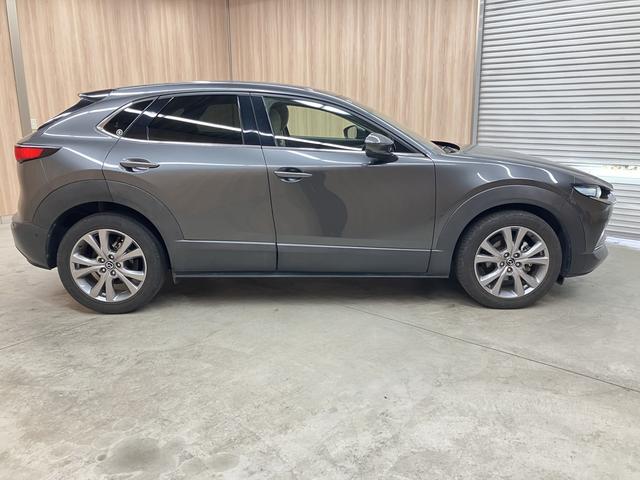 CX-30 20S プロアクティブ ツーリングセレクション OBD診断済/法定点検整備済/360度セーフティパッケージ/360度ビューモニター/ドライバーモニタリング/BOSEサウンドシステム/クルージングトラフィックサポート/パワーバックドア/ワンオーナー(65枚目)