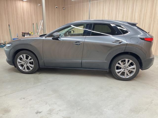 CX-30 20S プロアクティブ ツーリングセレクション OBD診断済/法定点検整備済/360度セーフティパッケージ/360度ビューモニター/ドライバーモニタリング/BOSEサウンドシステム/クルージングトラフィックサポート/パワーバックドア/ワンオーナー(66枚目)