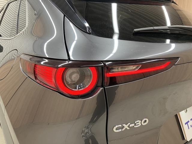CX-30 20S プロアクティブ ツーリングセレクション OBD診断済/法定点検整備済/360度セーフティパッケージ/360度ビューモニター/ドライバーモニタリング/BOSEサウンドシステム/クルージングトラフィックサポート/パワーバックドア/ワンオーナー(69枚目)