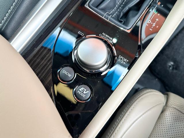 ＧＳ ＧＳ３００ｈ　バージョンＬ　１年無制限距離保証付　自社ユーザー買取車（43枚目）