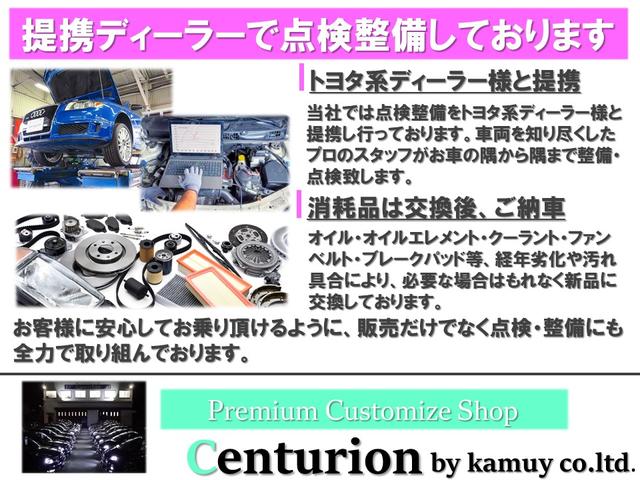 250G リラックスセレクション 新品ブラックレザーシート Bluetooth フルセグ バックカメラ 新品20インチタイヤホイール 新品フルエアロ 新品LEDファイバーヘッド 新品フルLEDファイバーテール 前後流れるウインカー付(27枚目)