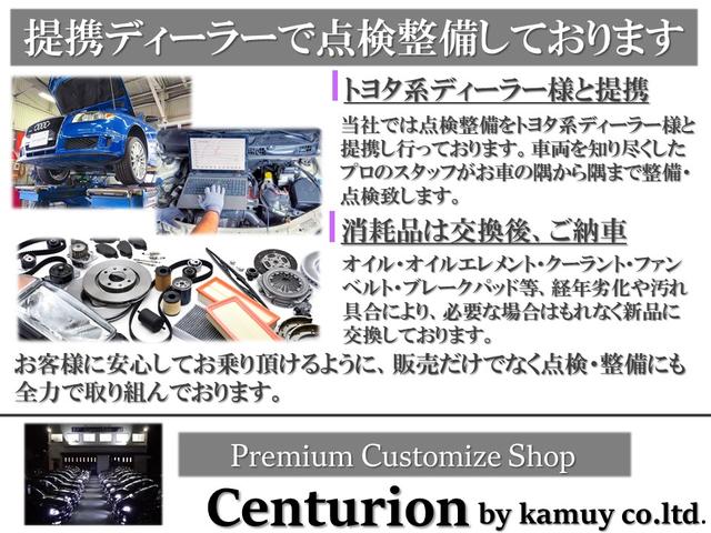 ２５０ＧＴ　後期モデル　ブラックハーフレザーシート　Ｂｌｕｅｔｏｏｔｈ　ＨＤＤ　フルセグ　サイドバックカメラ　ＥＴＣ　新品タナベ車高調　新品２０インチタイヤホイール　新品インフィニティエンブレム　スモークテール(27枚目)