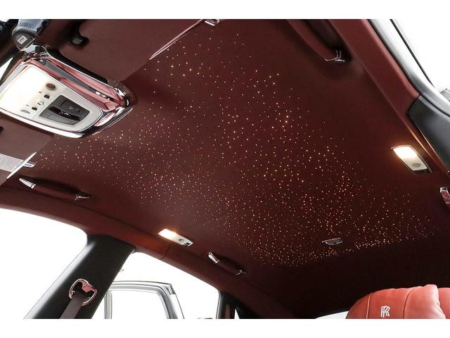 ゴーストII ベースグレード 1年保証付き 正規D車 左H シューティングスターヘッドライナー リアエンターテイメント 特別外装色/アンダルシアンホワイト ダブルコーチライン WALD22AW 温冷シート RR刺繍 360°カメラ(53枚目)