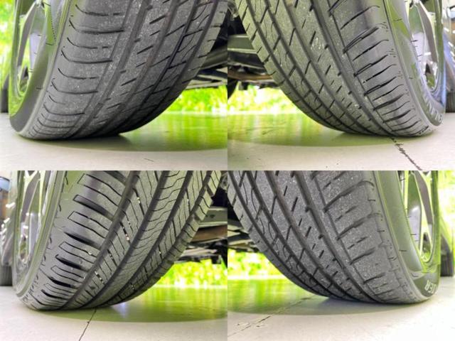 �u���̎Ԃ̎ʐ^�������ƌ������v�u��Ԃ��C�ɂȂ�v�u���̑����͂��Ă���H�v�ǂ�ȏ����ȋ^��ł����C�y�ɂ��₢���킹���������I