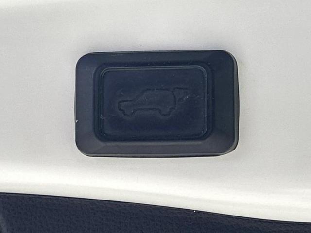 RAV4 4WDハイブリッドG 新品タイヤ/サンルーフ/純正エアロ/保証書/社外 9インチ SDナビ/衝突安全装置/シートヒーター/車線逸脱防止支援システム/シート 合皮/電動バックドア/ドライブレコーダー 社外 フルエアロ 4WD(24枚目)