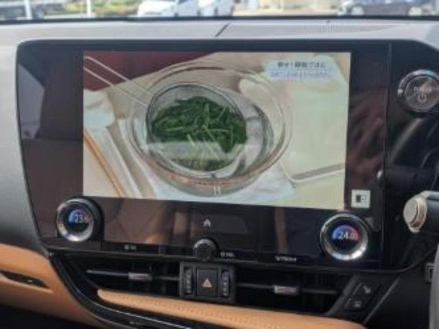 ＮＸ ＮＸ３５０ｈバージョンＬ　保証書／純正　ＳＤナビ／デジタルインナーミラー／衝突安全装置／シートヒーター／車線逸脱防止支援システム／シート　合皮／電動バックドア／ヘッドランプ　ＬＥＤ／ＥＴＣ／ＥＢＤ付ＡＢＳ／横滑り防止装置（11枚目）