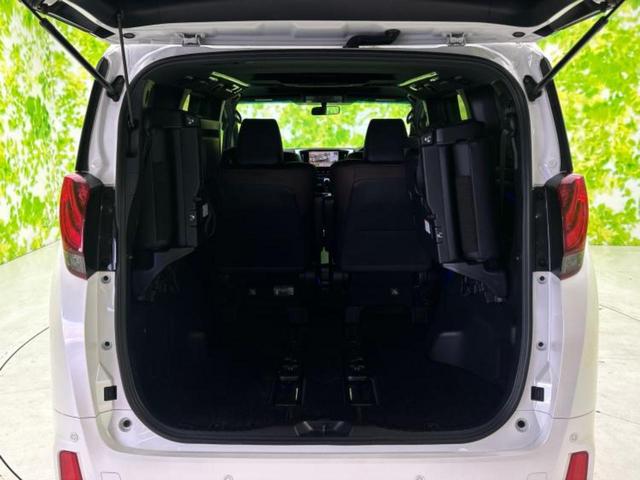 アルファード S Aパッケージタイプブラック サンルーフ/純正 10インチ SDナビ/フリップダウンモニター/両側電動スライドドア/シート ハーフレザー/電動バックドア/ヘッドランプ LED/ETC/EBD付ABS/横滑り防止装置 後席モニター(21枚目)