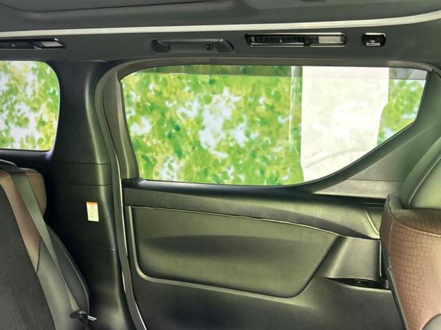 アルファード S Aパッケージタイプブラック サンルーフ/純正 10インチ SDナビ/フリップダウンモニター/両側電動スライドドア/シート ハーフレザー/電動バックドア/ヘッドランプ LED/ETC/EBD付ABS/横滑り防止装置 後席モニター(23枚目)