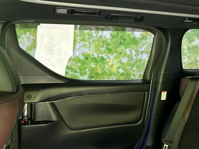 アルファード S Aパッケージタイプブラック サンルーフ/純正 10インチ SDナビ/フリップダウンモニター/両側電動スライドドア/シート ハーフレザー/電動バックドア/ヘッドランプ LED/ETC/EBD付ABS/横滑り防止装置 後席モニター(25枚目)