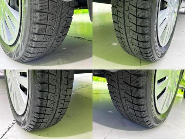 �u���̎Ԃ̎ʐ^�������ƌ������v�u��Ԃ��C�ɂȂ�v�u���̑����͂��Ă���H�v�ǂ�ȏ����ȋ^��ł����C�y�ɂ��₢���킹���������I