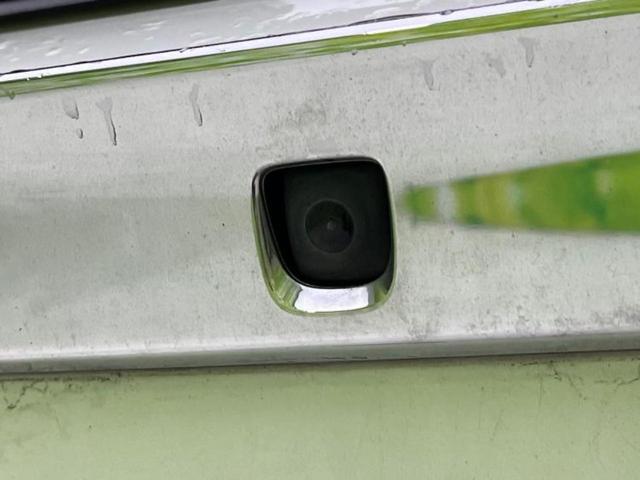 �u���̎Ԃ̎ʐ^�������ƌ������v�u��Ԃ��C�ɂȂ�v�u���̑����͂��Ă���H�v�ǂ�ȏ����ȋ^��ł����C�y�ɂ��₢���킹���������I