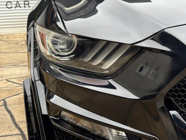 FORD MUSTANG 50 YEARS EDITION