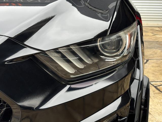 FORD MUSTANG 50 YEARS EDITION