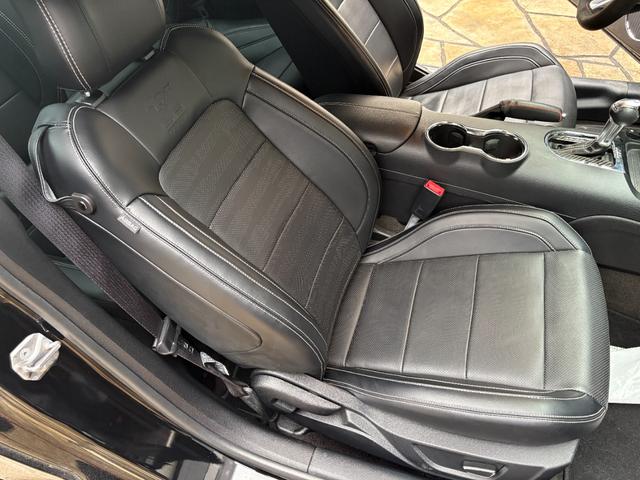 FORD MUSTANG 50 YEARS EDITION