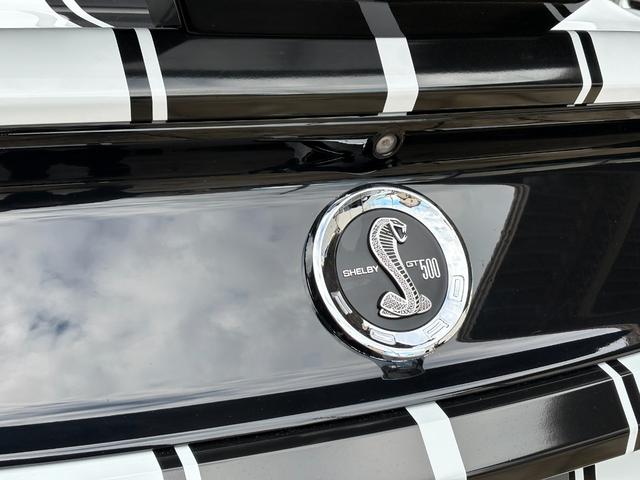 �v���̍��Ɛ����m���ӔC�������ē_���E���������q���܂̌��ւ��͂����܂��B�C���̂��˗��������Ă���܂��B