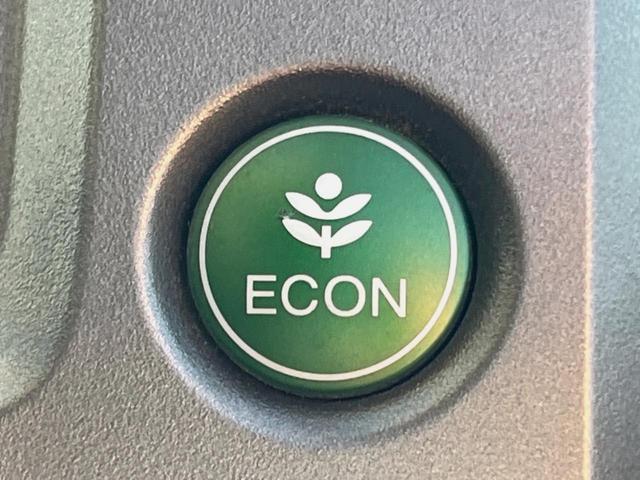 ステップワゴン Ｇ　ＨＩＤエディション　両側電動ドア　禁煙車　ＨＩＤヘッド　オートライト　ＥＴＣ　オートエアコン　ＣＤ　ＤＶＤ再生　バックカメラ　電動格納ドアミラー　キーレスキー　シートリフター　シートベルトアジャスター　前席バニティミラー（28枚目）