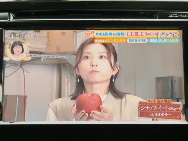 エクストレイル 20Xt エマージェンシーブレーキパッケージ プレミア故障保証プラチナ1年付 4WD 純正SDナビ フルセグBT アラウンドビューモニター クルーズコントロール 社外前後ドライブレコーダー 防水シート 前席左右シートヒーター インテリキー2個(27枚目)