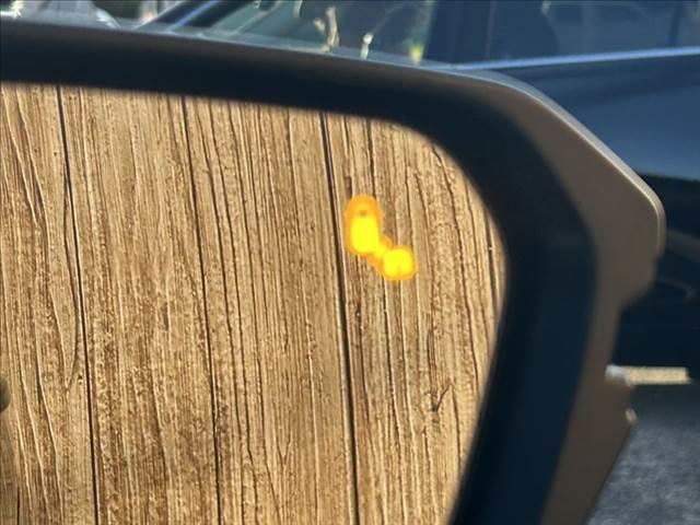 インサイト EX・ブラックスタイル 純正メモリーナビ フルセグ バックカメラ ETC2.0 ホンダセンシング 禁煙車 Bluetooth LEDヘッドライト シートヒーター パワーシート クリアランスソナー レーダークルーズコントロール(49枚目)