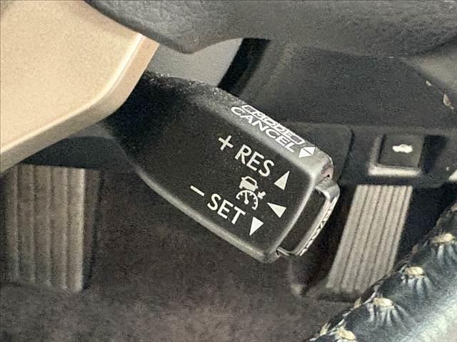 RC RC300h バージョンL サンルーフ 衝突軽減 レーダークルコン(41枚目)