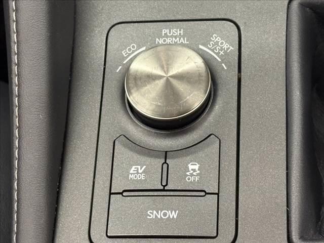 RC RC300h バージョンL サンルーフ 衝突軽減 レーダークルコン(45枚目)