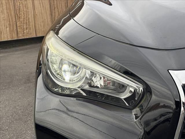 ���_�����w�b�h���C�g