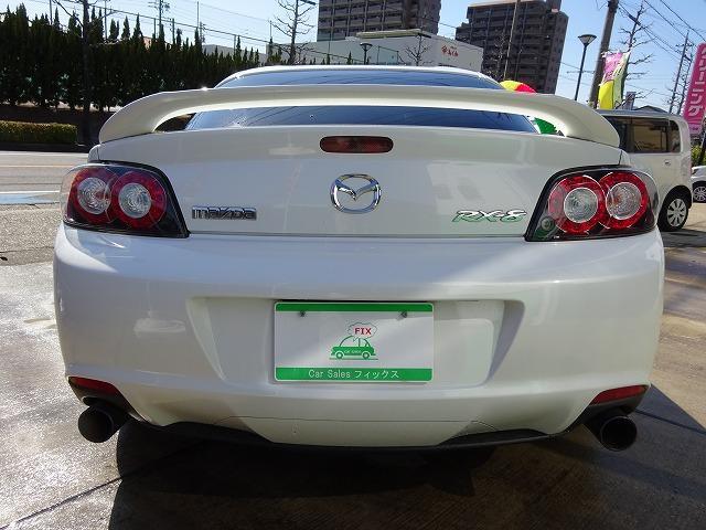 タイプRS TEIN車高調 Rマジックマフラー レーダー(15枚目)