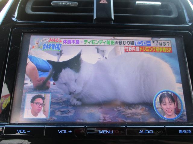 プリウス S ナビ ブルートゥース バックカメラ フルセグTV ドライブレコーダー ETC レーンキープアシスト コーナーセンサー スマートキー プッシュスタート HIDヘッドライト オートライト オートAC(24枚目)