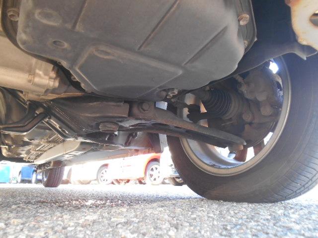 �N���I�ɑ����̎K�͏o�܂����A�\���ɏ�Ԃ͗ǍD�ƌ����܂��B�i�����̎ʐ^���ϋɓI�Ɍ��J���Ă���܂��j