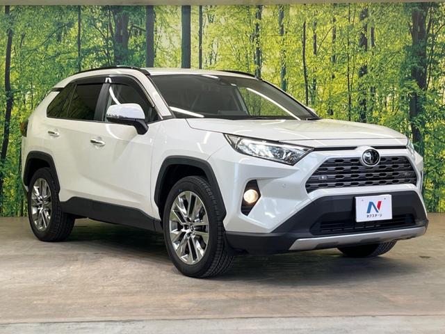 ＲＡＶ４ Ｇ　Ｚパッケージ　禁煙車　純正９型ナビ　レーダーズコントロール　デジタルインナーミラー　トヨタセーフティセンス　クリアランスソナー　パワーバックドア　フルセグ　バックカメラ　シートヒーター　ＥＴＣ（17枚目）