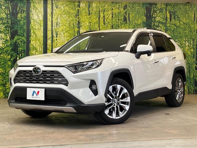 ＲＡＶ４ Ｇ　Ｚパッケージ　禁煙車　純正９型ナビ　レーダーズコントロール　デジタルインナーミラー　トヨタセーフティセンス　クリアランスソナー　パワーバックドア　フルセグ　バックカメラ　シートヒーター　ＥＴＣ（48枚目）