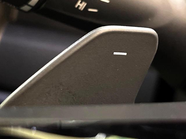 スペーシアカスタム ハイブリッドXSターボ 届出済未使用車 メーカーOP9型ナビ 両側電動ドア 全周囲カメラ 衝突被害軽減システム レーダークルーズ Bluetooth フルセグ ハーフレザーシート コーナーセンサー スマートキー LEDヘッド(35枚目)
