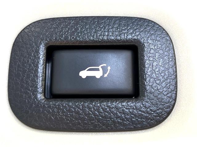 エクストレイル 20X 純正9型ナビ 全周囲カメラ プロパイロット パワーバックドア LEDヘッドライト ルーフレール 電子パーキング デジタルインナーミラー ブラインドスポットモニター 禁煙車 インテリキー(7枚目)