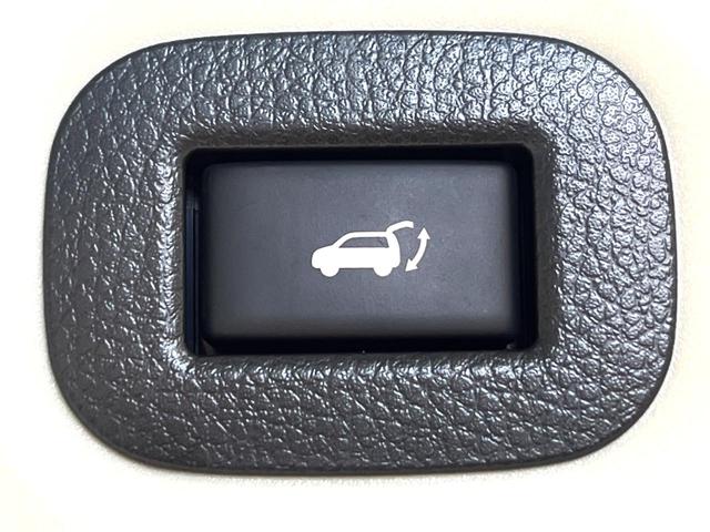 エクストレイル ２０Ｘｉ　純正９型ナビ　全周囲カメラ　衝突被害軽減システム　プロパイロット　禁煙車　電動リアゲート　ハーフレザーシート　ドラレコ　ＥＴＣ　コーナーセンサー　ＬＥＤヘッド　Ｂｌｕｅｔｏｏｔｈ　フルセグ　スマートキ（33枚目）