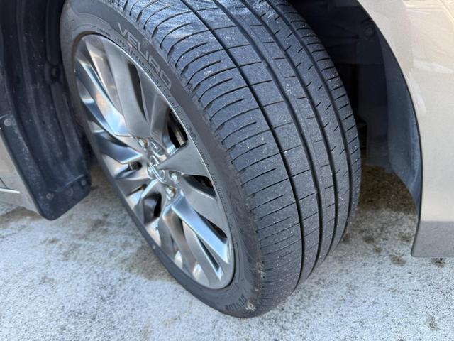 ���x�̗ǂ��_�����b�v�ō����^�C���r���[���[�����B�c��a�������܂��܂��g�p�ł��܂�