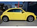 VOLKSWAGEN THE BEETLE