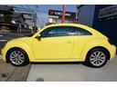 VOLKSWAGEN THE BEETLE