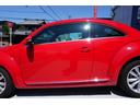 VOLKSWAGEN THE BEETLE